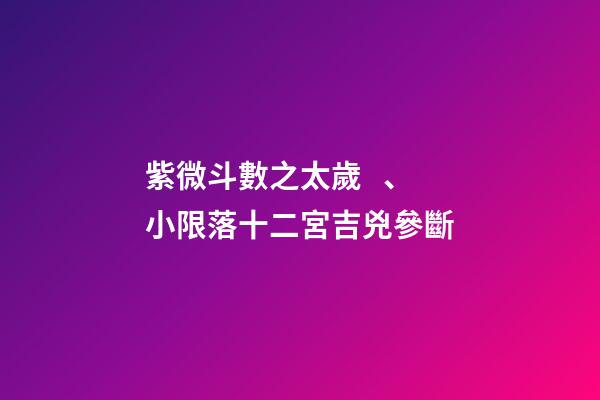 紫微斗數之太歲、小限落十二宮吉兇參斷